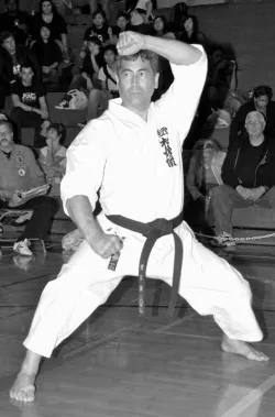 Japan Ways Traditional Shotokan Karate - Image 2