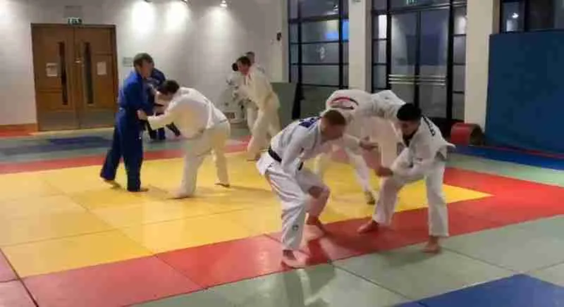 Pro Judo