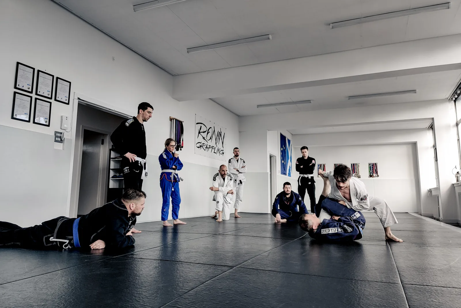 Ronin Grappling - Image 2