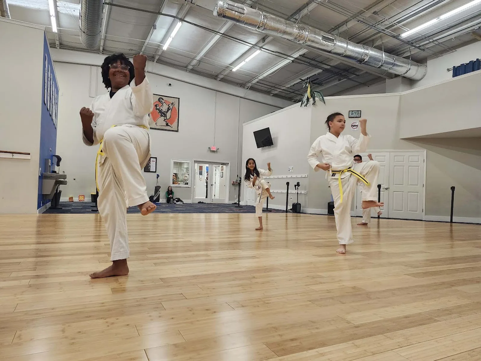 Greenville Martial Art Center - Image 2