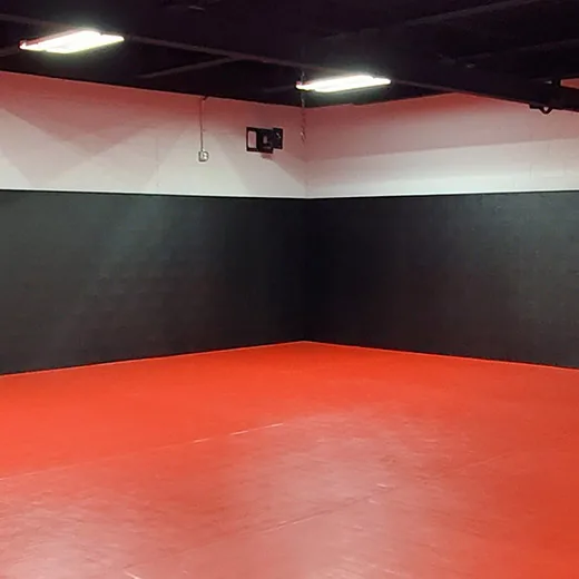 Linic Brazilian Jiu-Jitsu
