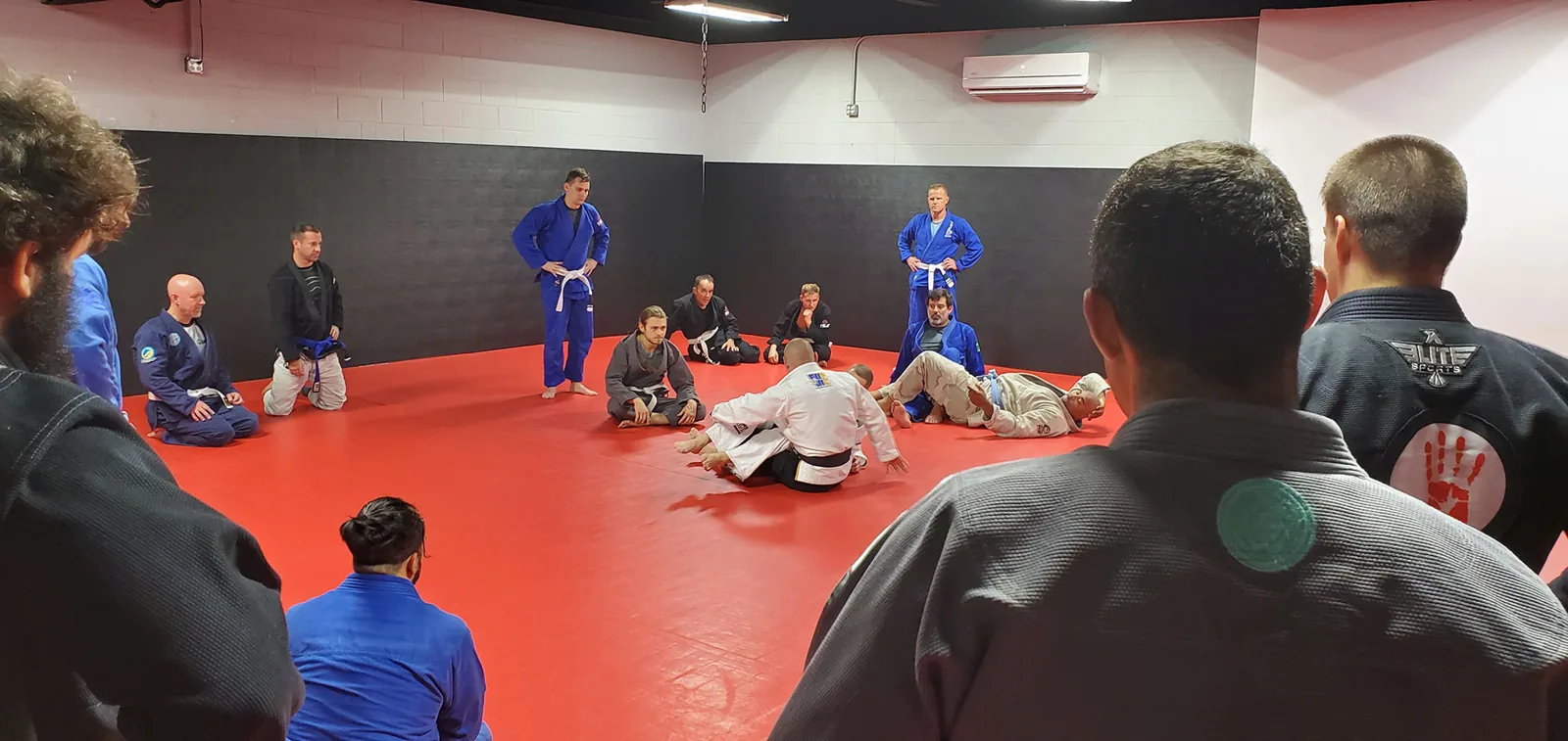 Linic Brazilian Jiu-Jitsu - Image 2