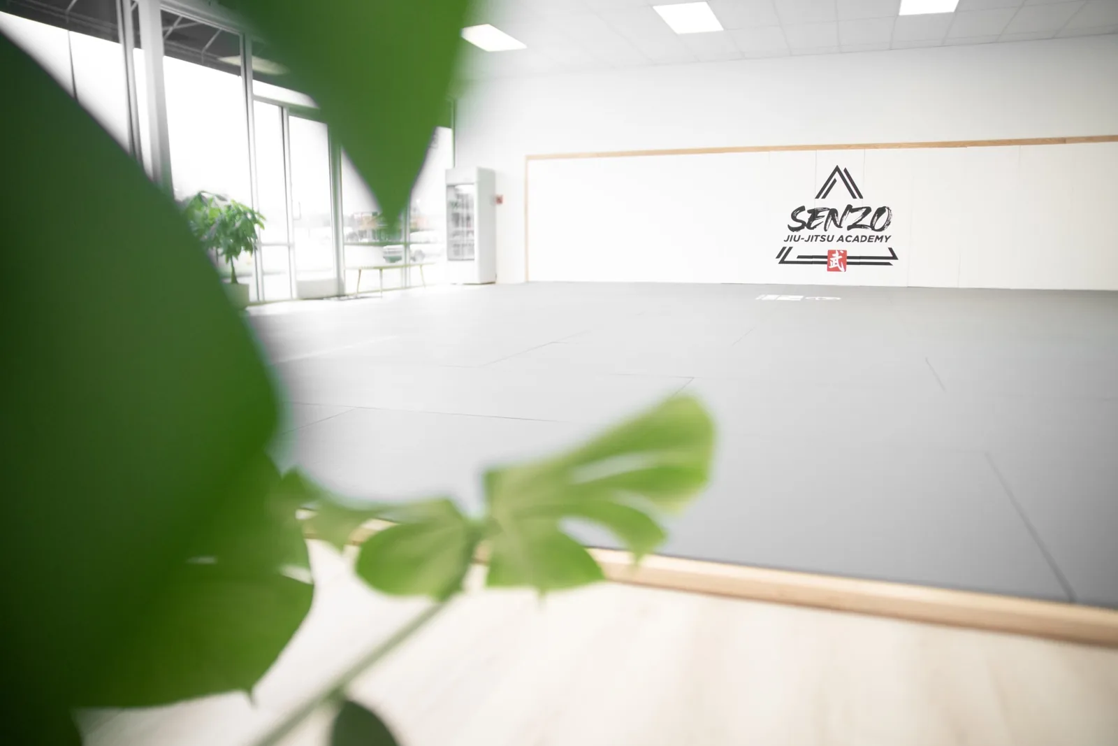 Senzo Jiu-Jitsu Academy