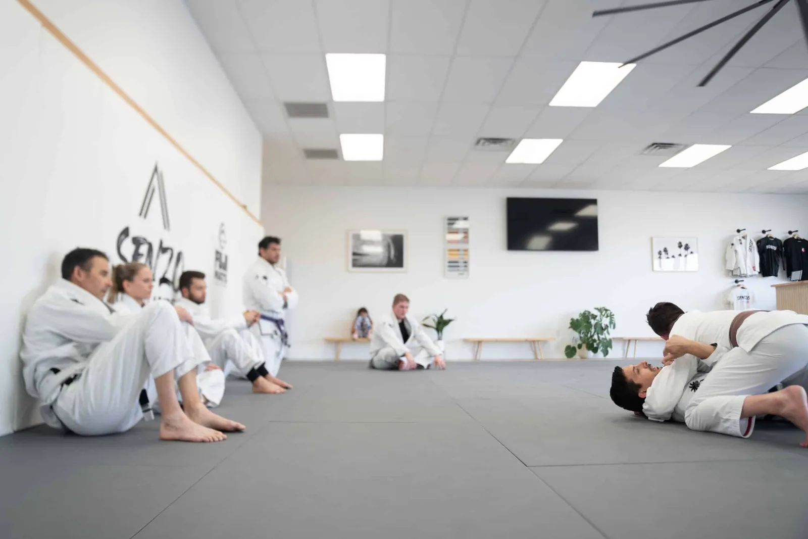 Senzo Jiu-Jitsu Academy - Image 2