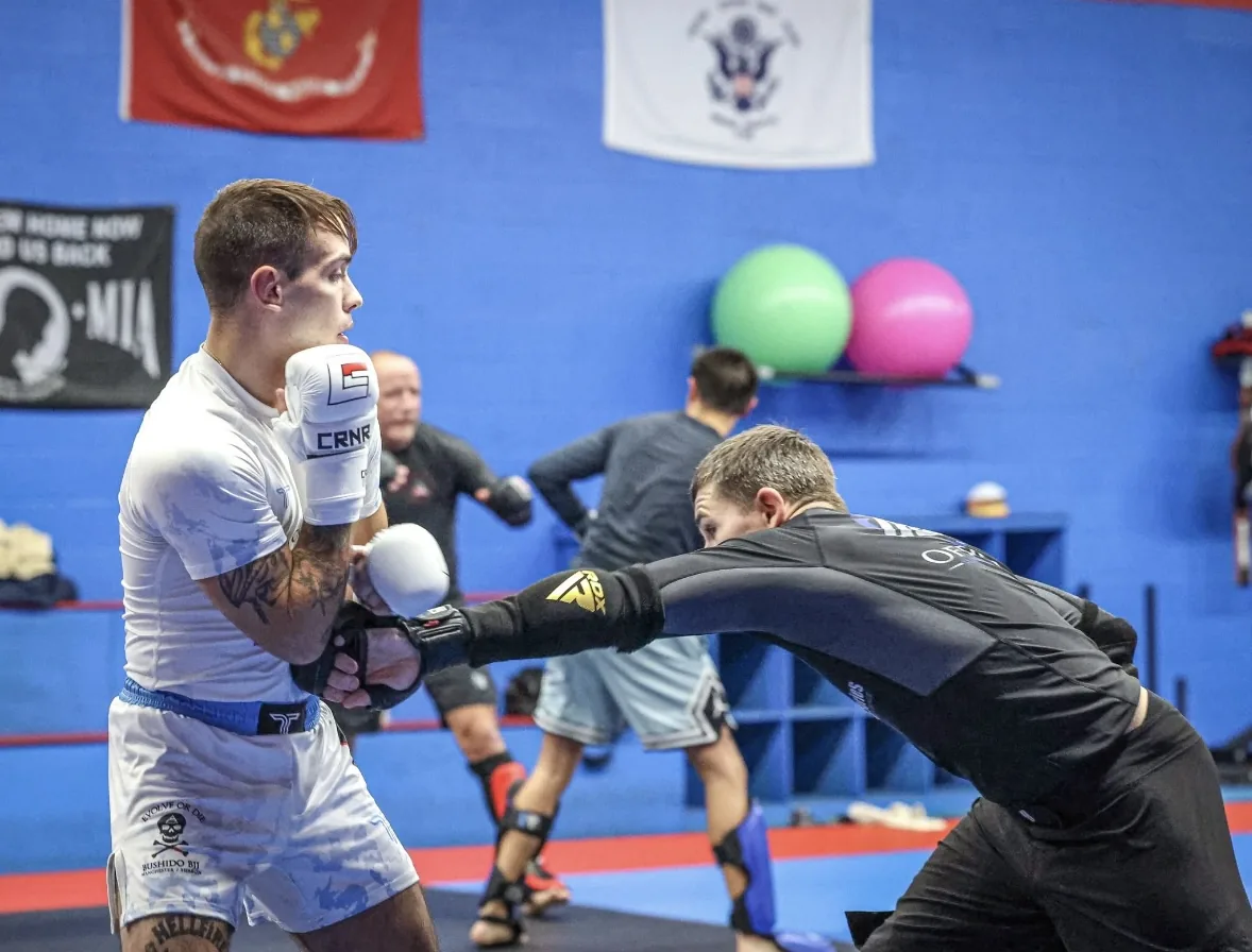Bushido BJJ Manchester - Image 3