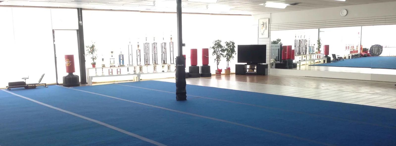 Malee’s School of Tai Chi & Kung Fu