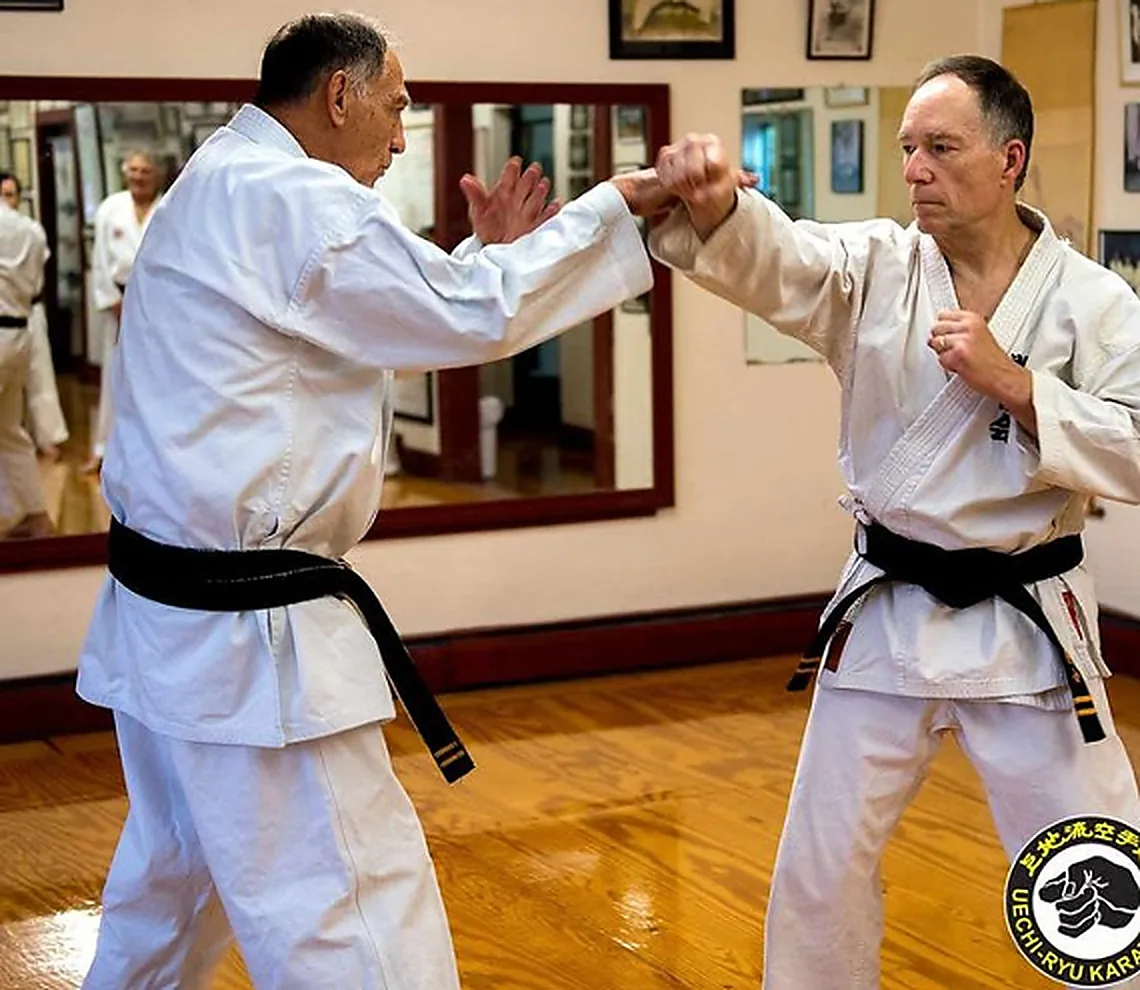 Uechi Karate Academy - Image 3