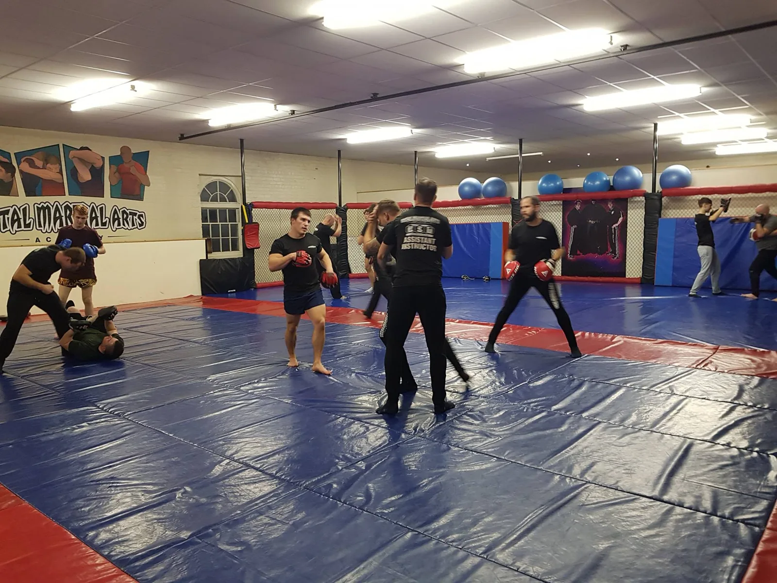 Total Martial Arts Academy - Image 2