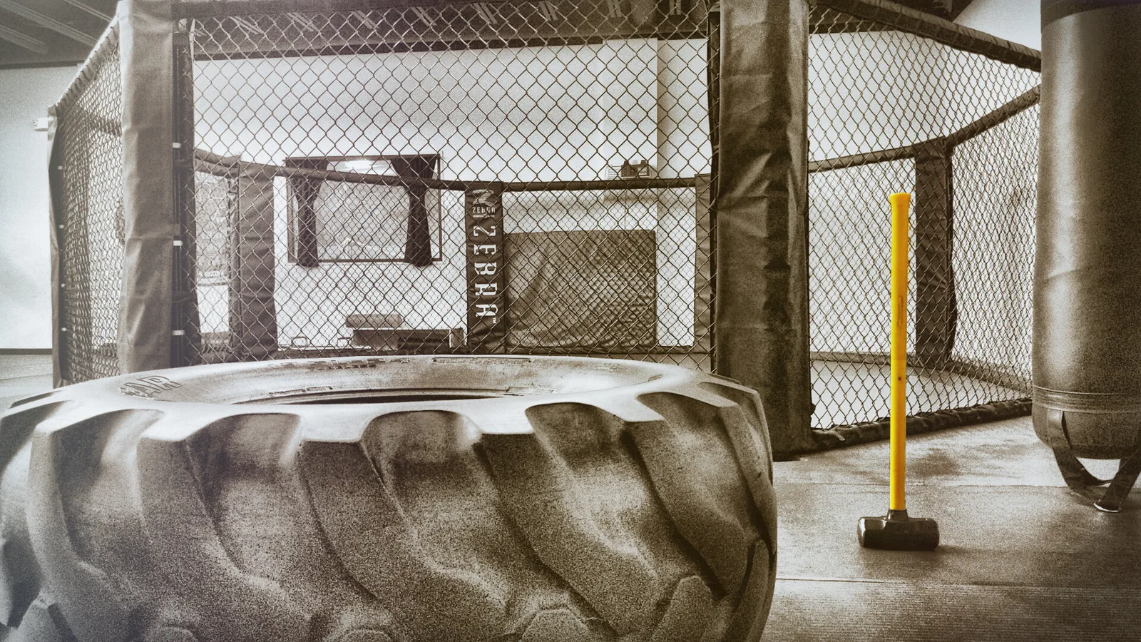 Powell’s MMA System - Image 2