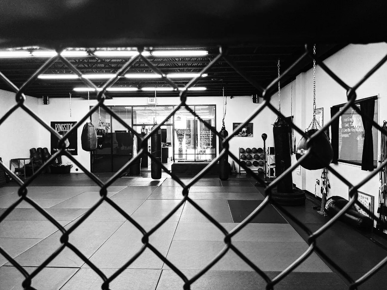 Powell’s MMA System - Image 3