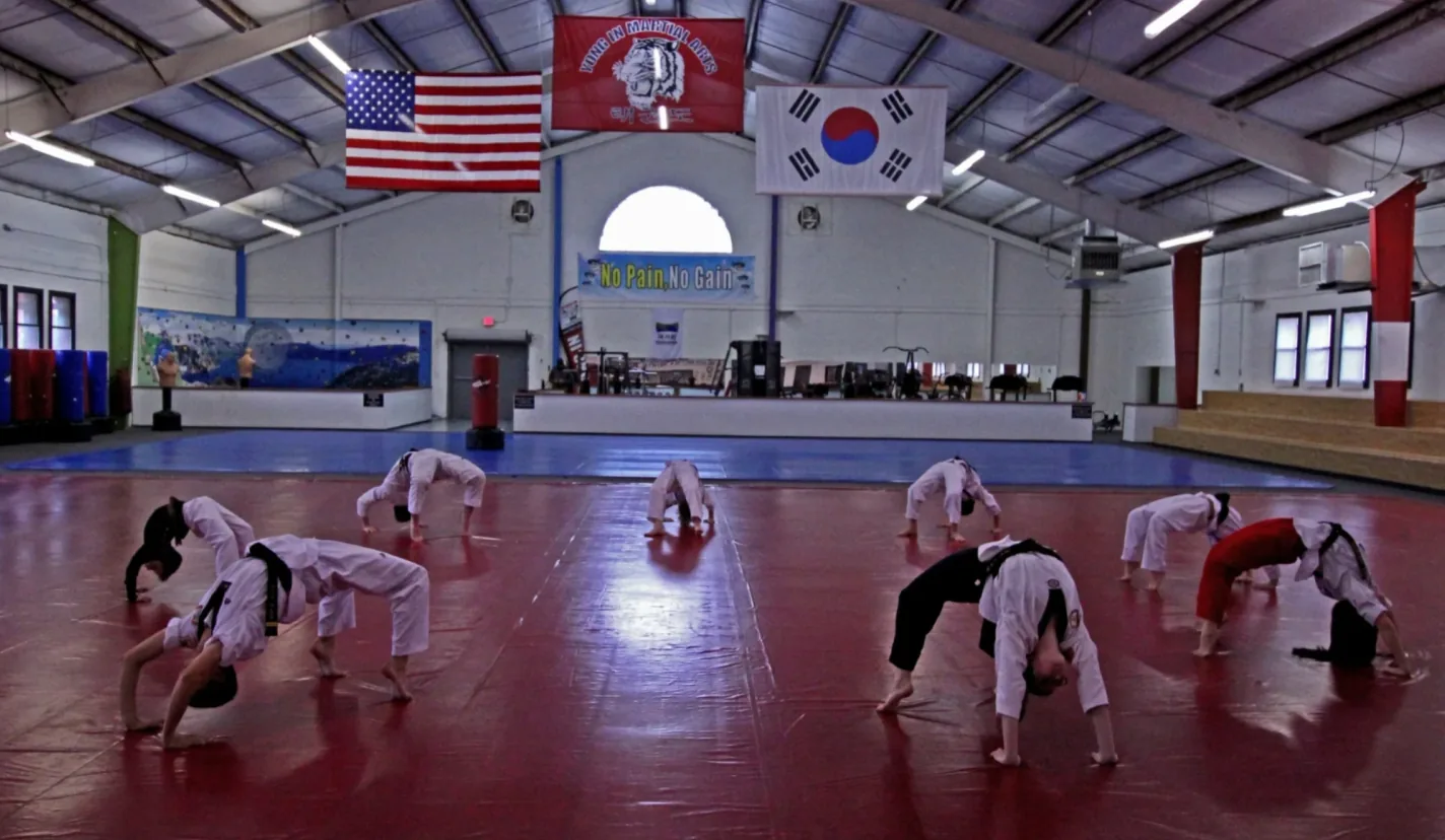 Yong In Martial Arts Academy