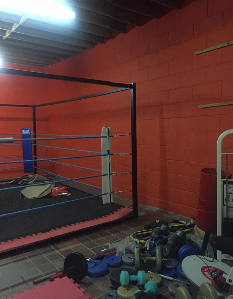 Ipswich Knights Kickboxing & Patricks Boxing Club - Image 2
