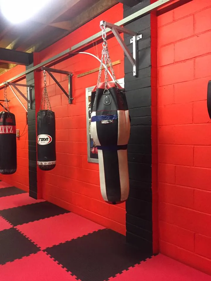 Ipswich Knights Kickboxing & Patricks Boxing Club - Image 3
