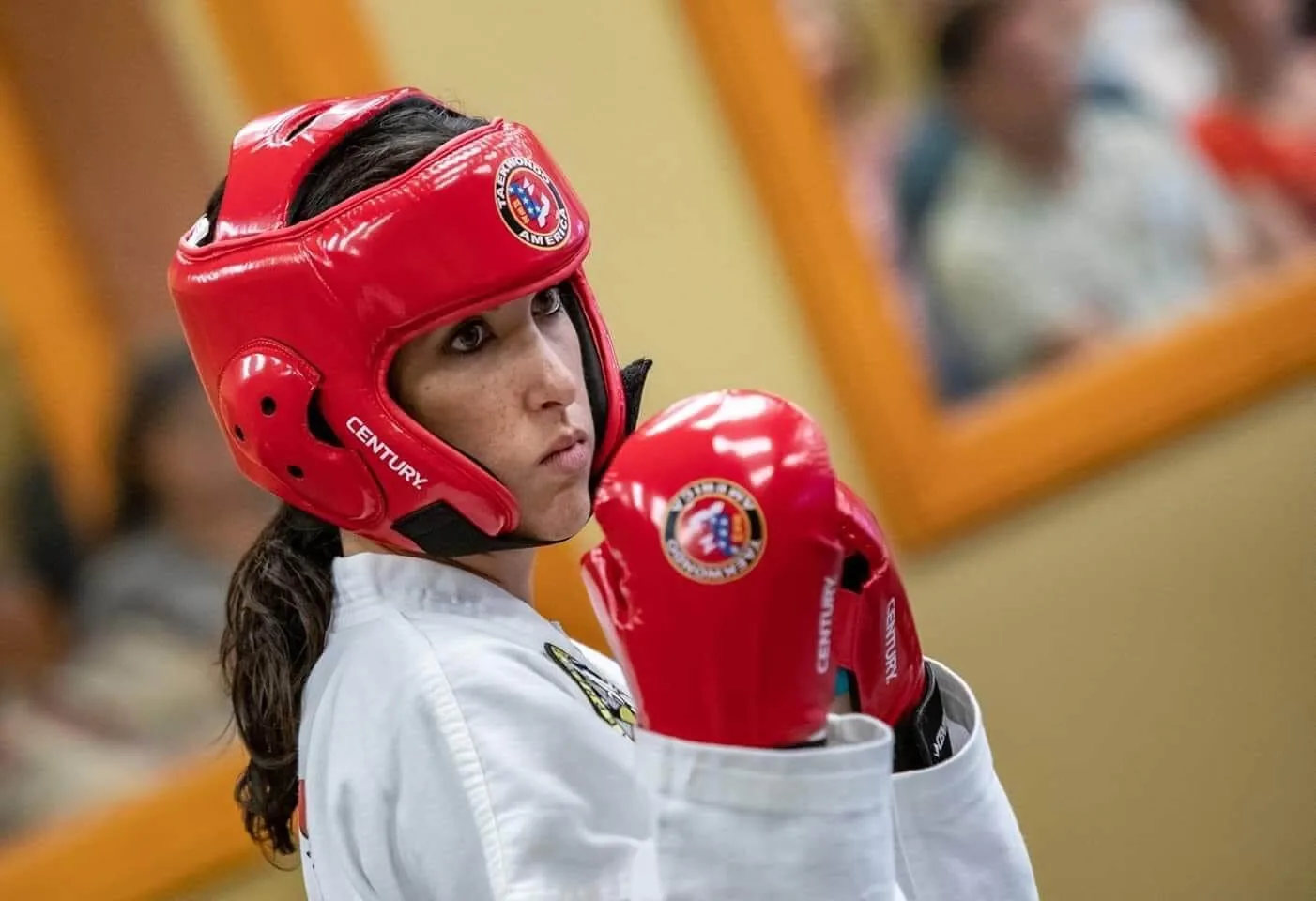 Stephen Strouss Taekwondo - Image 2