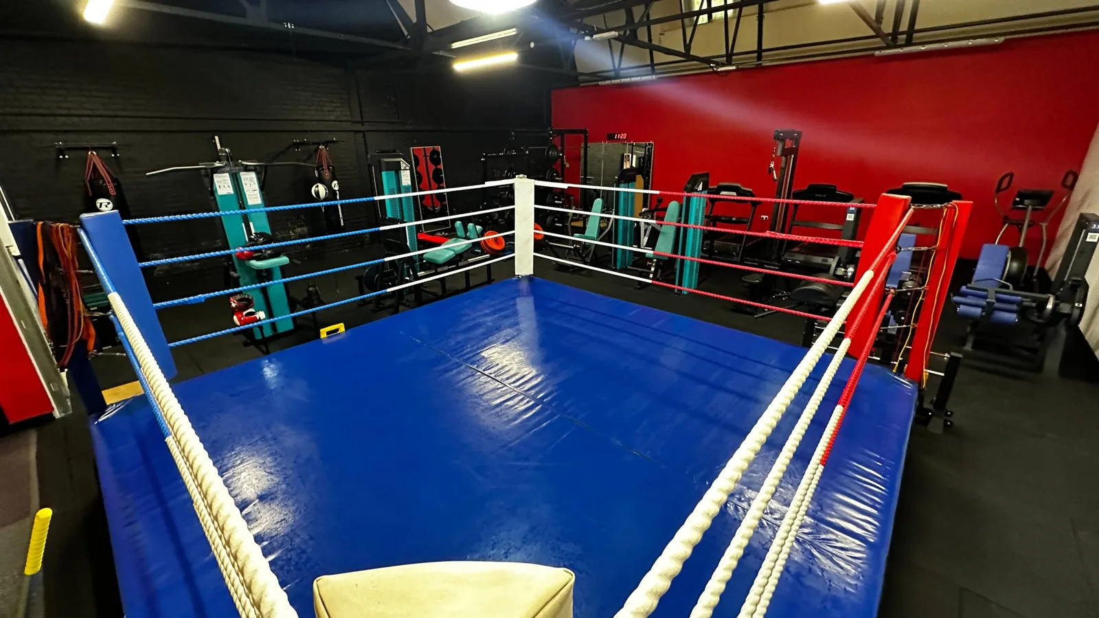 Elemental Kickboxing Academy - Image 2