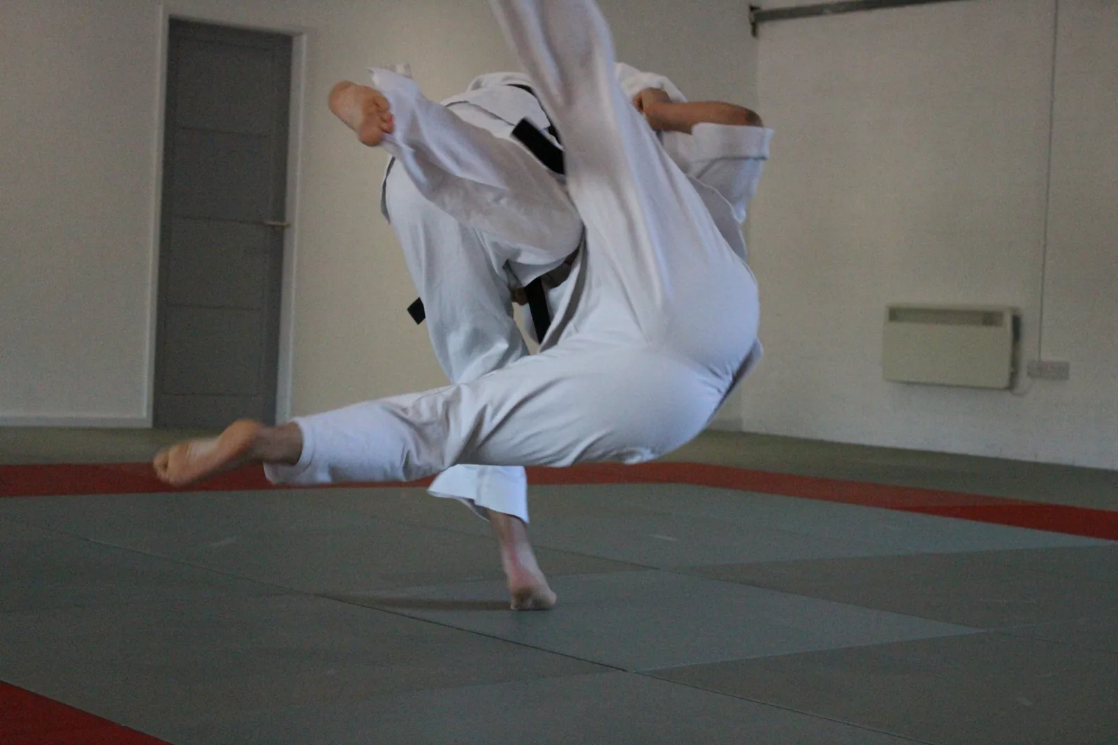 Ichiban Dojo - Image 2