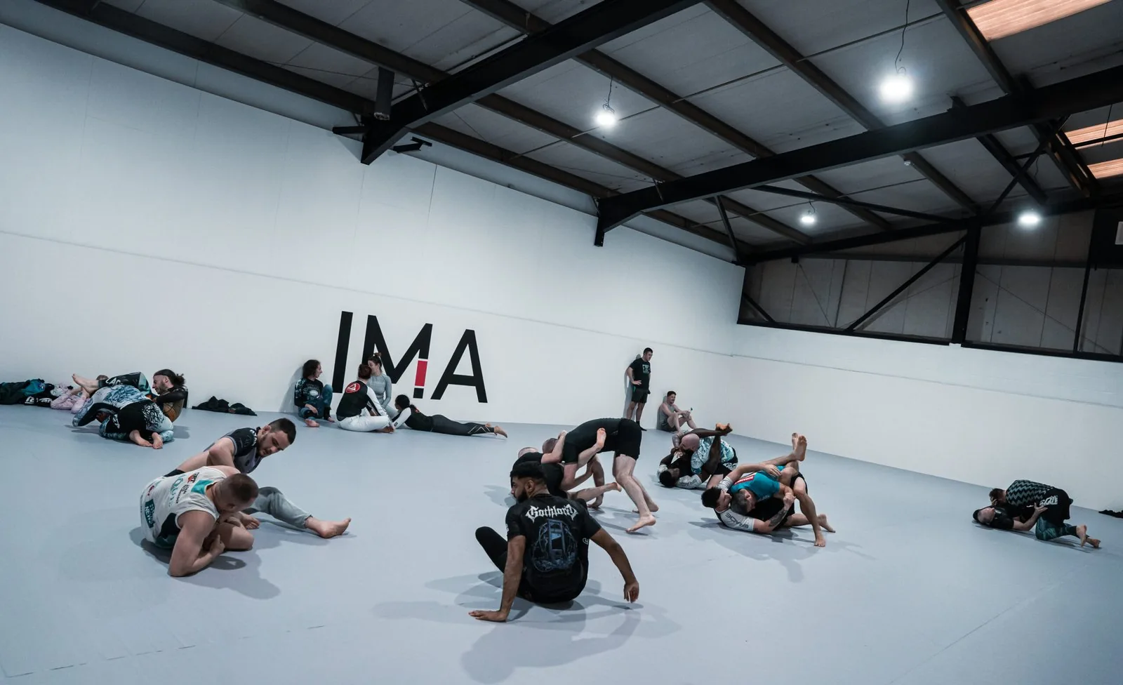Immortal Martial Arts (IMA Leeds) - Image 2