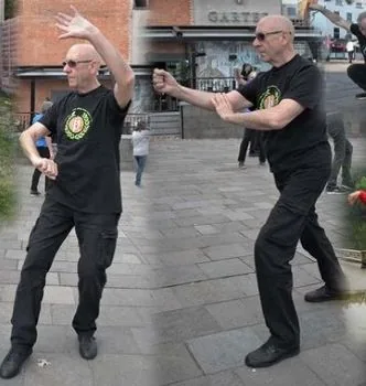 ITSWA Tai Chi & Kung Fu (Lee Street) - Image 2