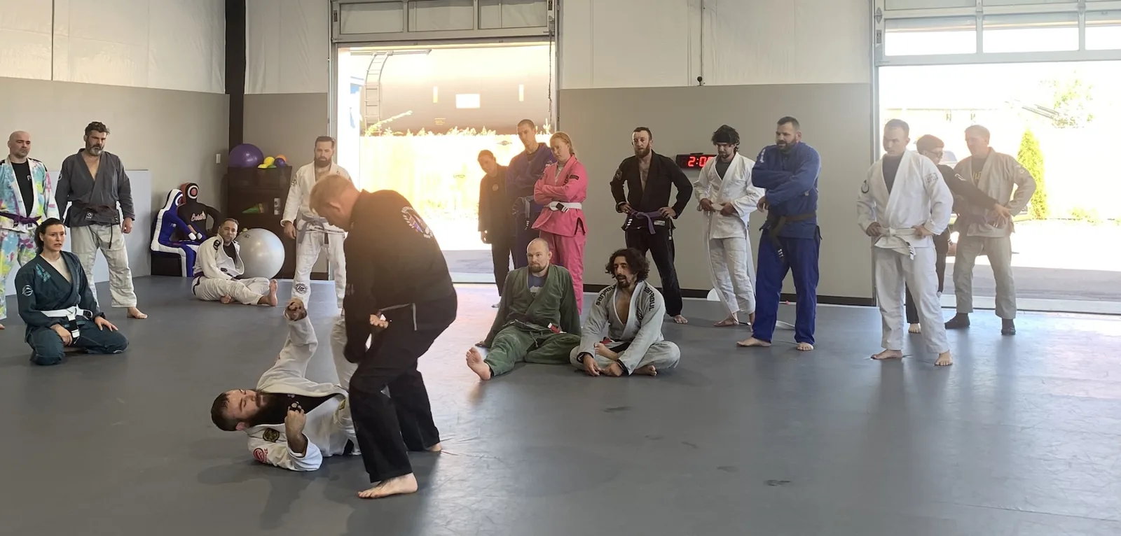 Lexington Jiu-Jitsu & Fitness