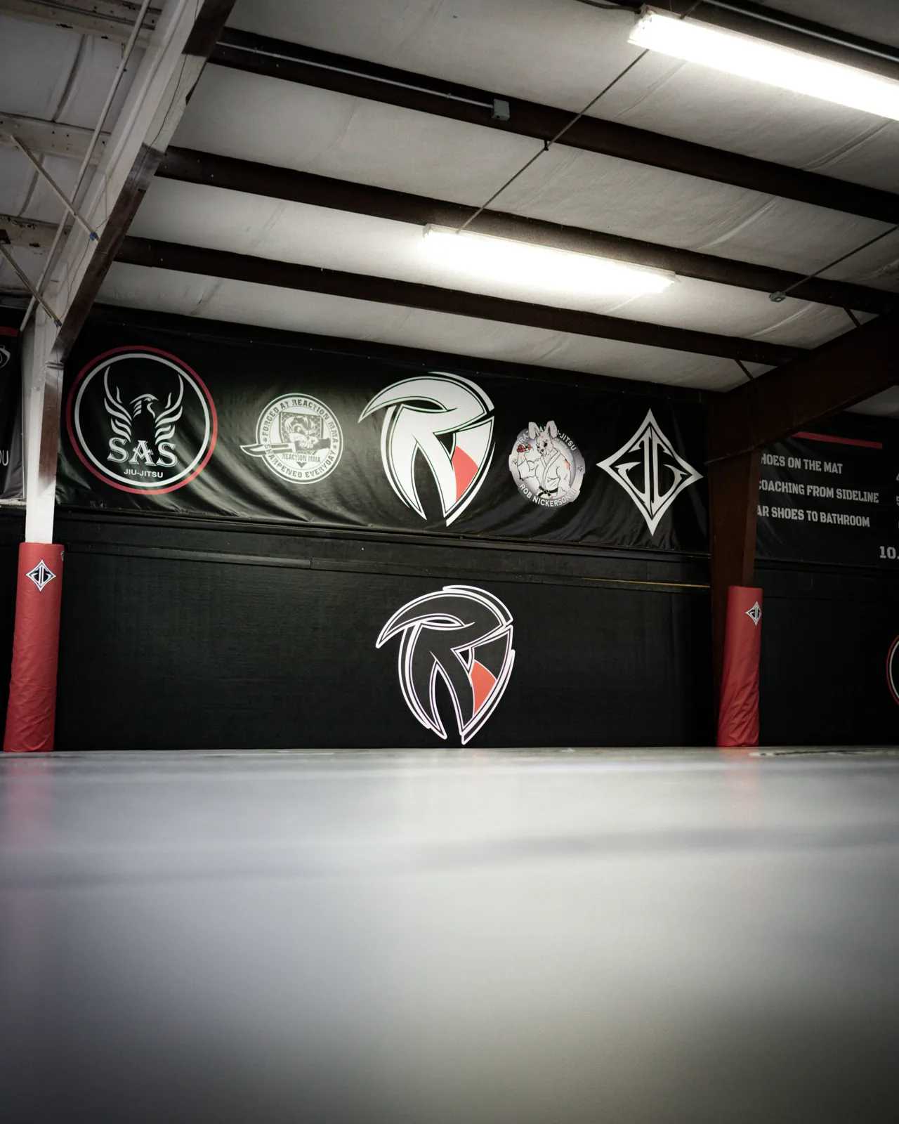 Reaction MMA - Image 2