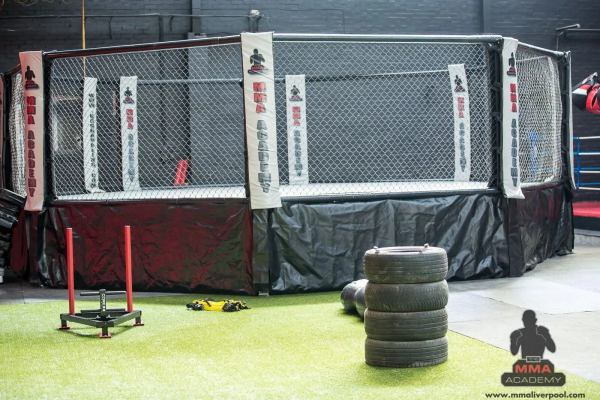 The MMA Academy