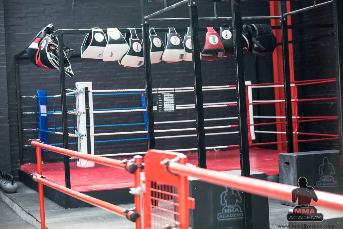 The MMA Academy - Image 2