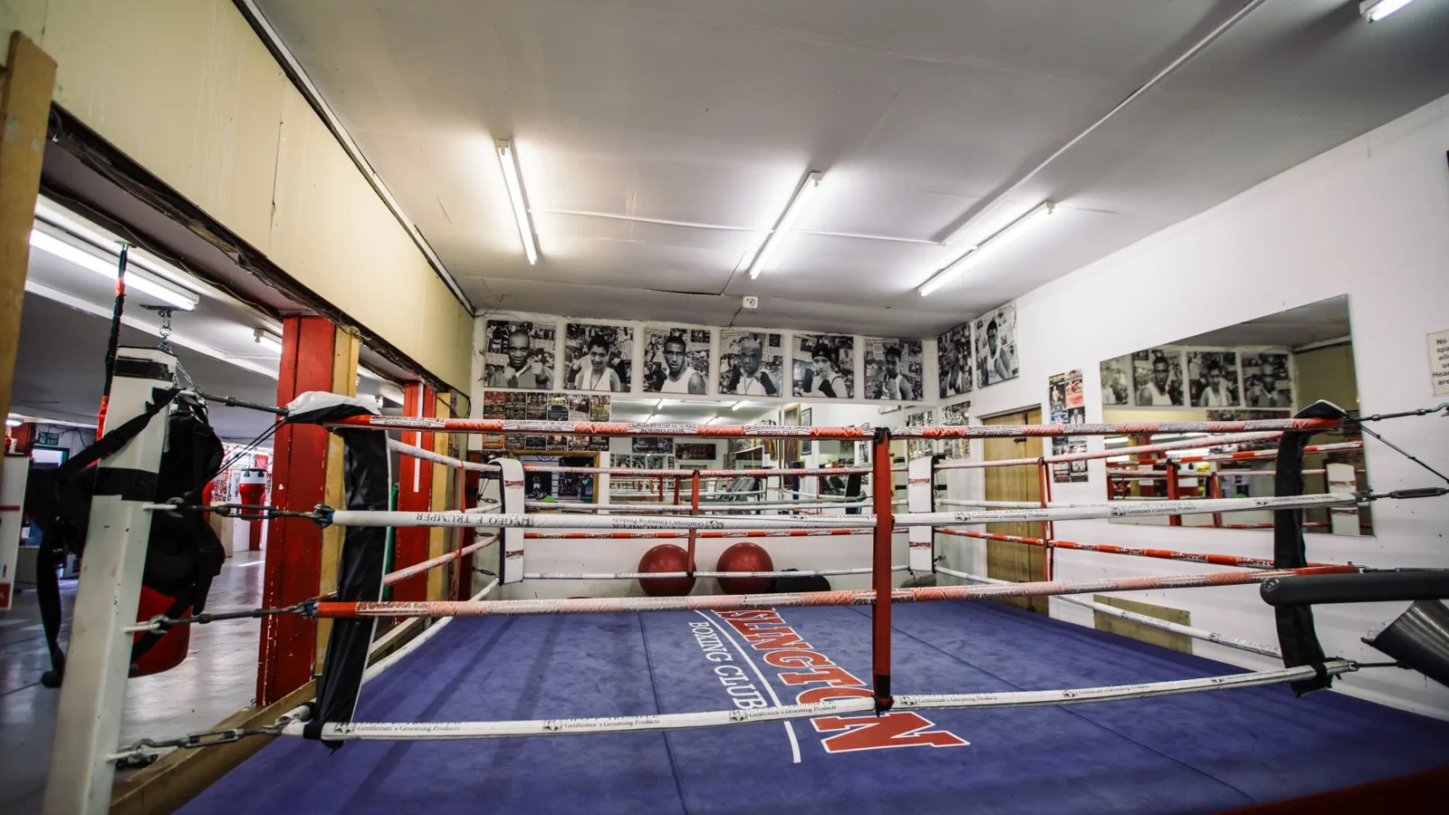 Islington Boxing Club - Image 2