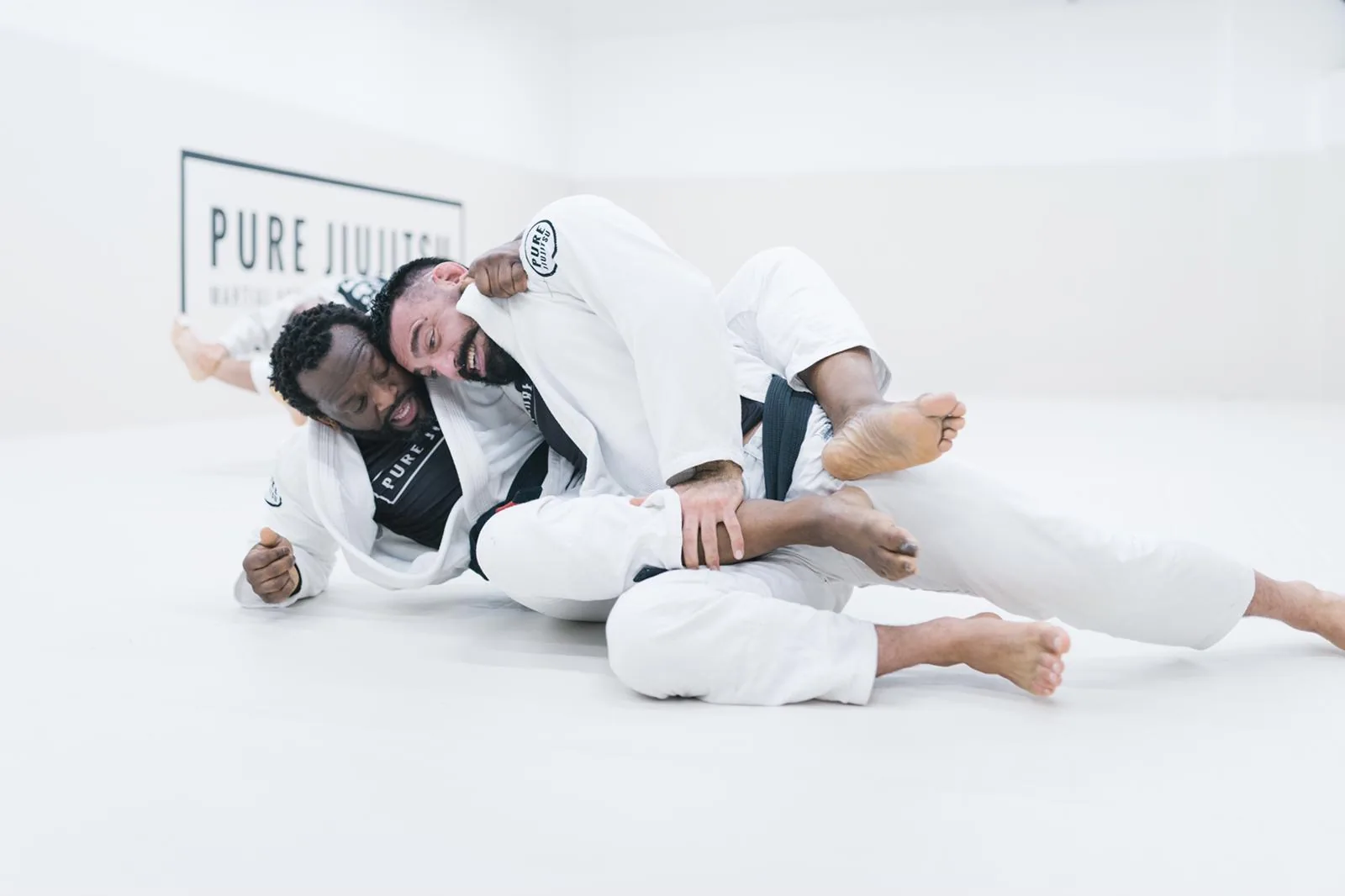 Pure Jiujitsu - Image 2