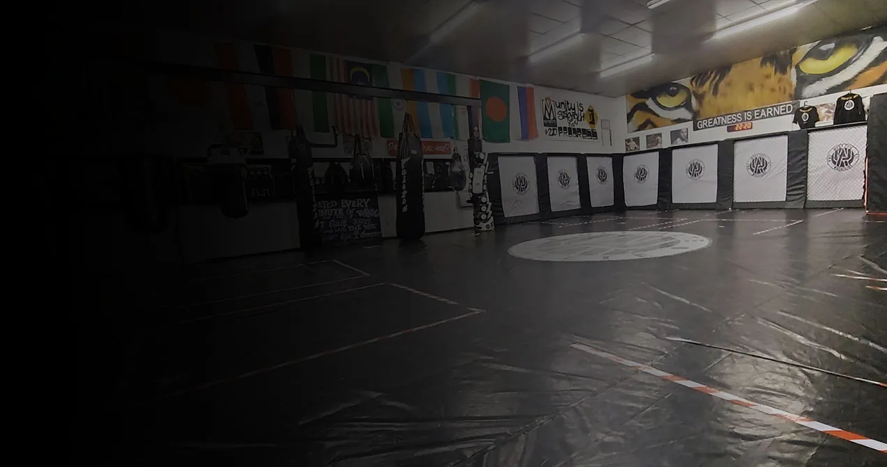 Ultimate Athlete MMA