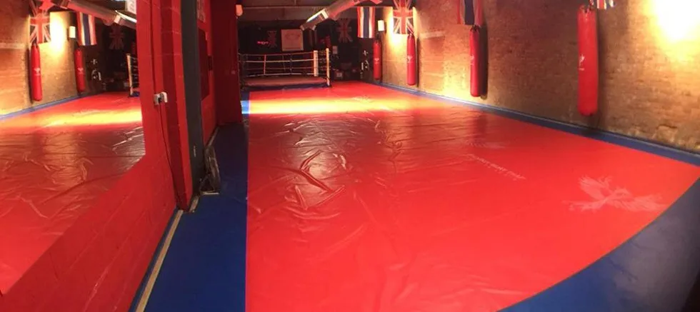 Phoenix Muay Thai - Image 2