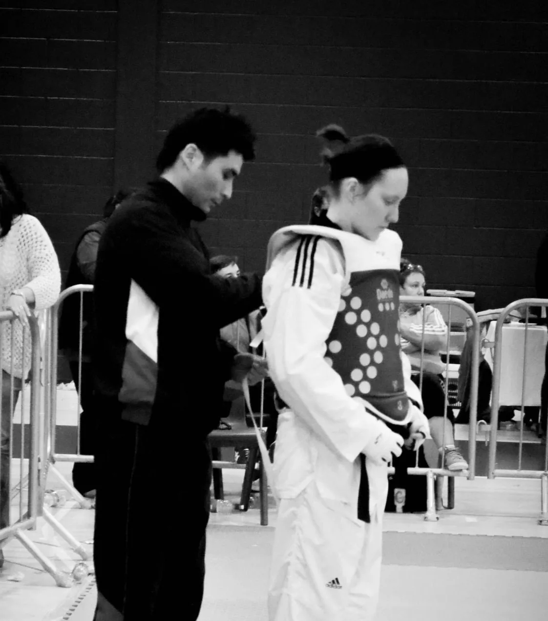 Taekwondo Machine