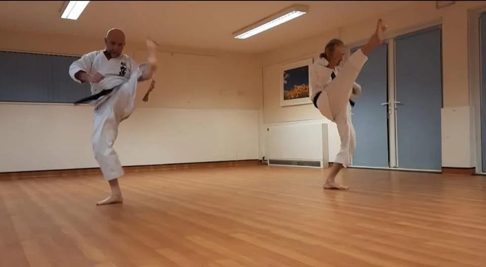 Tokushinkai Karate Club - Image 2