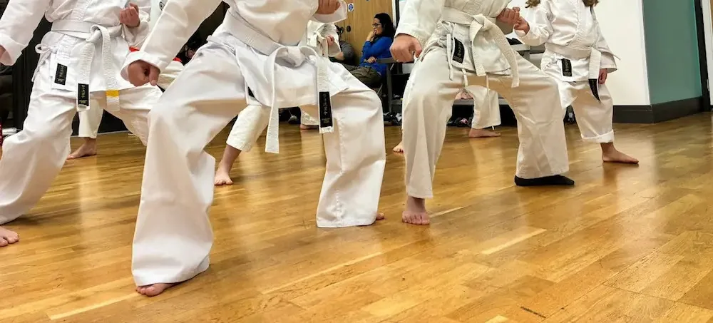 Tokushinkai Karate Club - Image 3
