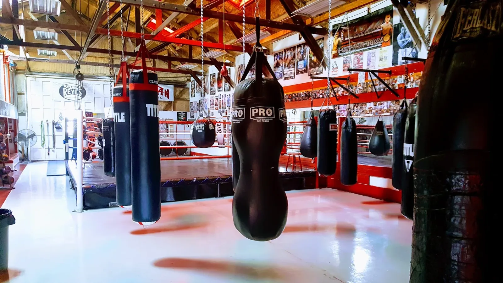 Bad To The Bonz Boxing Gym
