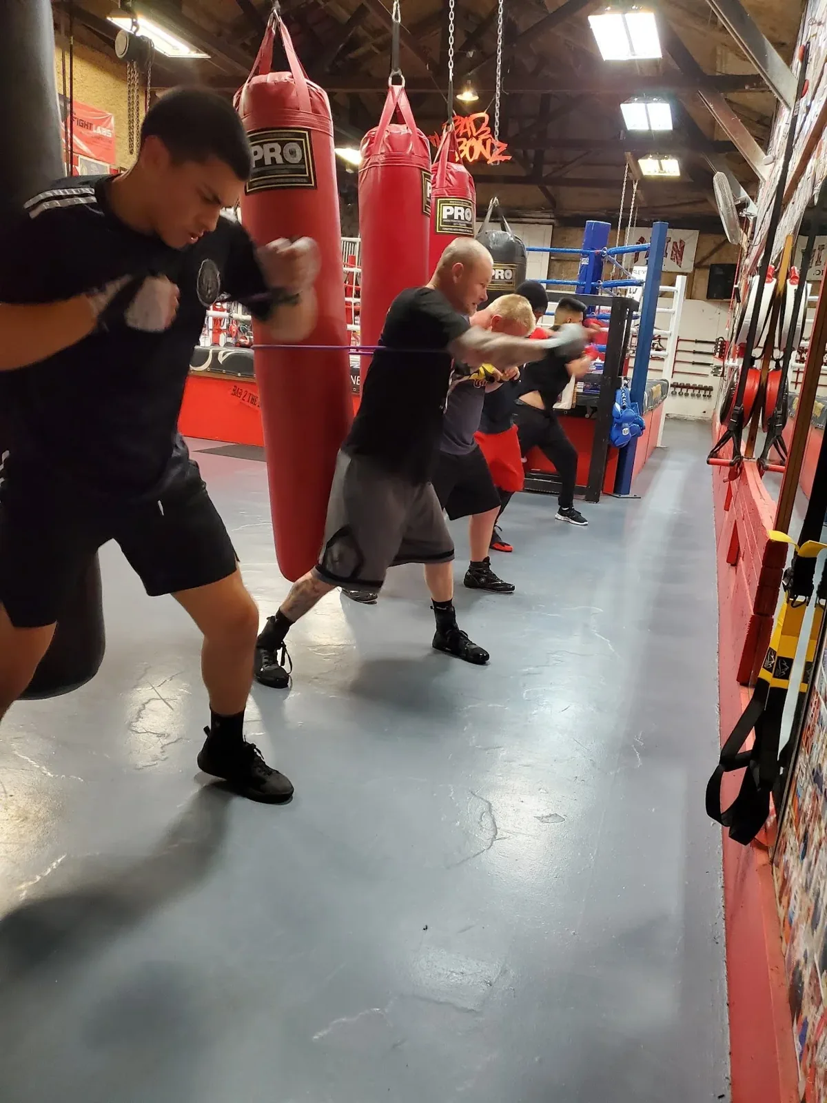 Bad To The Bonz Boxing Gym - Image 2