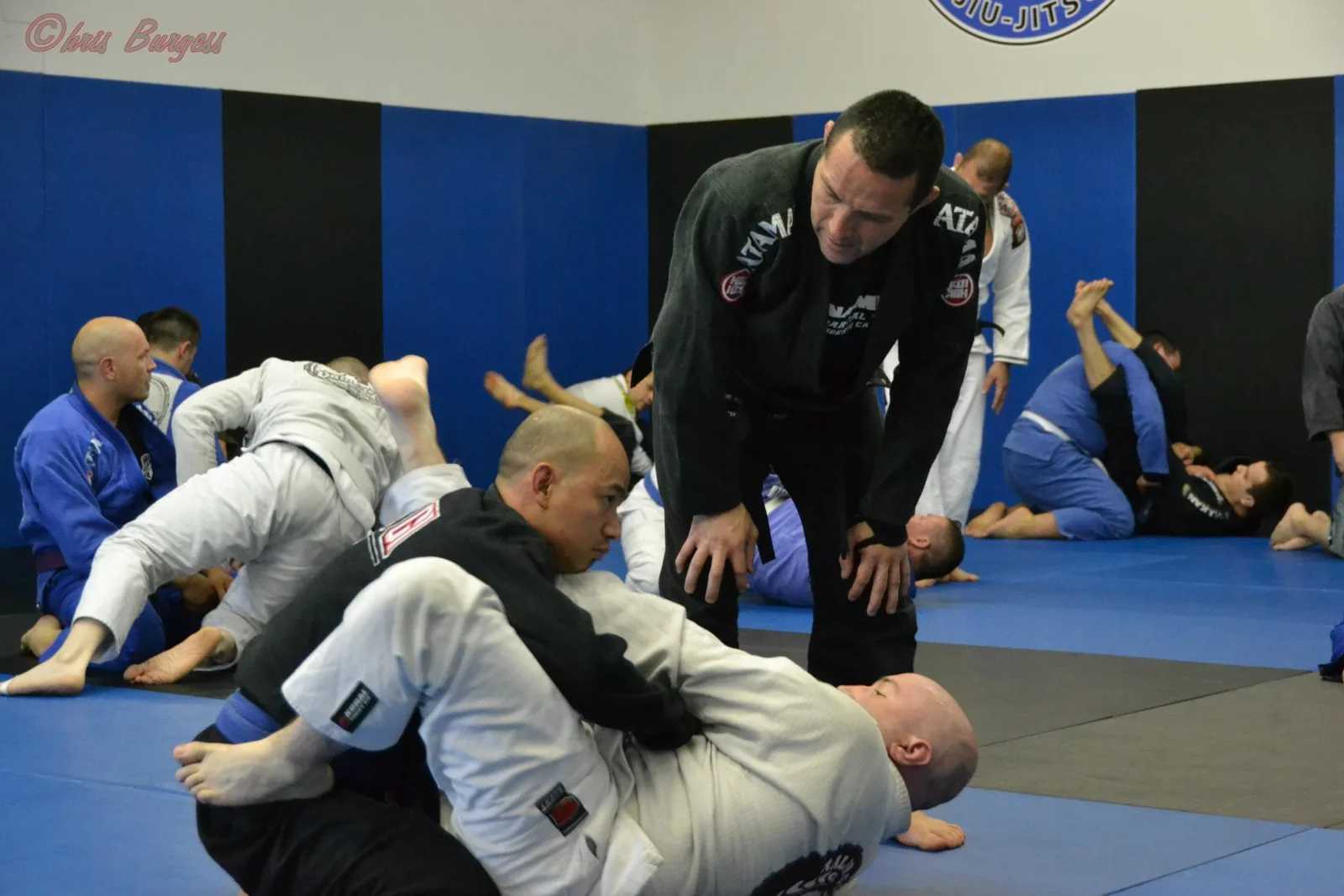 Ralph Gracie Jiu-Jitsu Modesto - Image 2