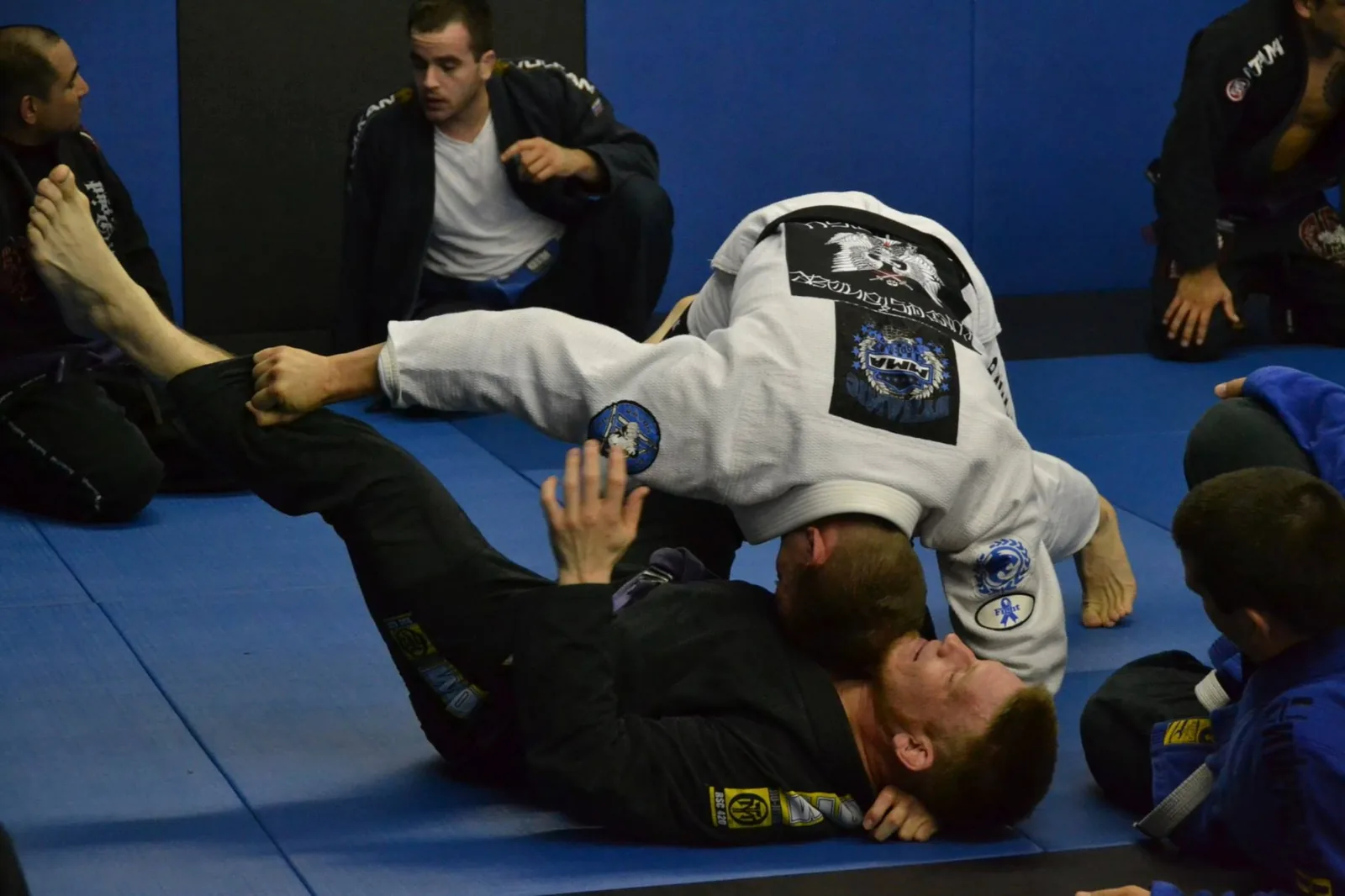 Ralph Gracie Jiu-Jitsu Modesto - Image 3