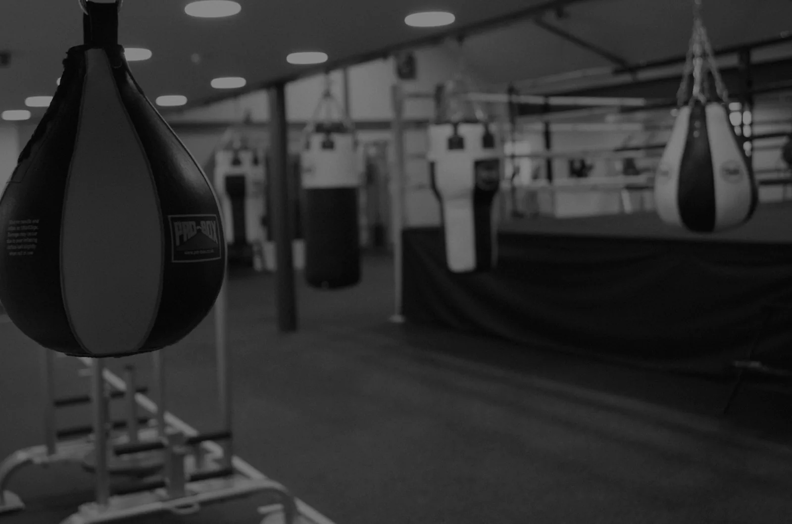 O’Tooles Health & Fitness - Image 3