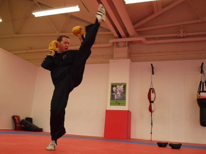 Universal Martial Arts - Image 3