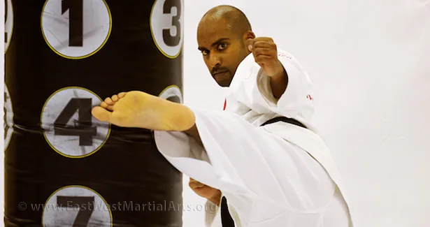 East West Martial Arts - Image 2