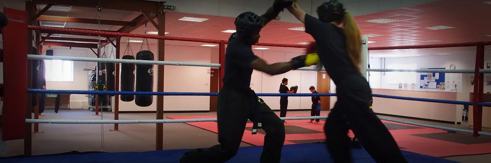 Pro Martial Arts