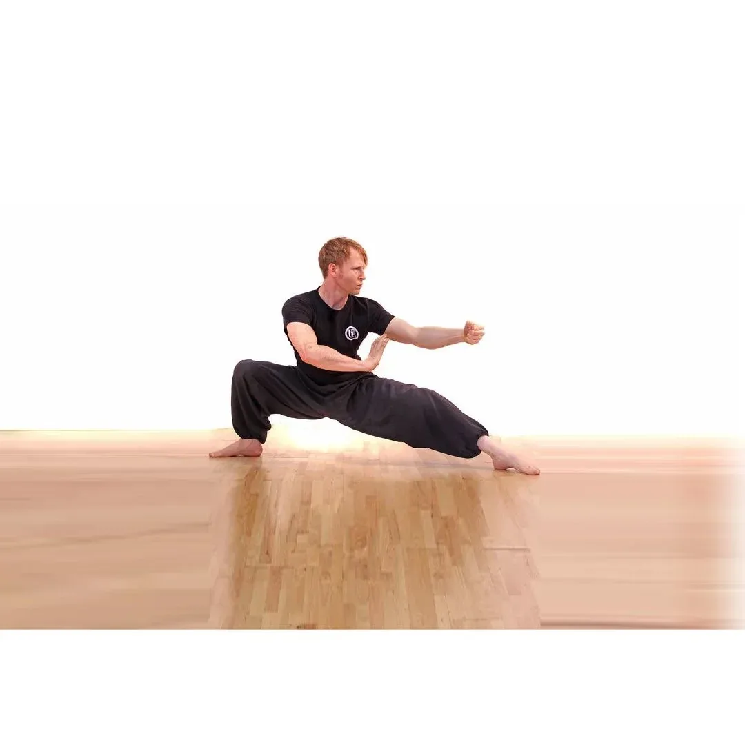 Lohan Martial Arts & Wellbeing School - Image 2
