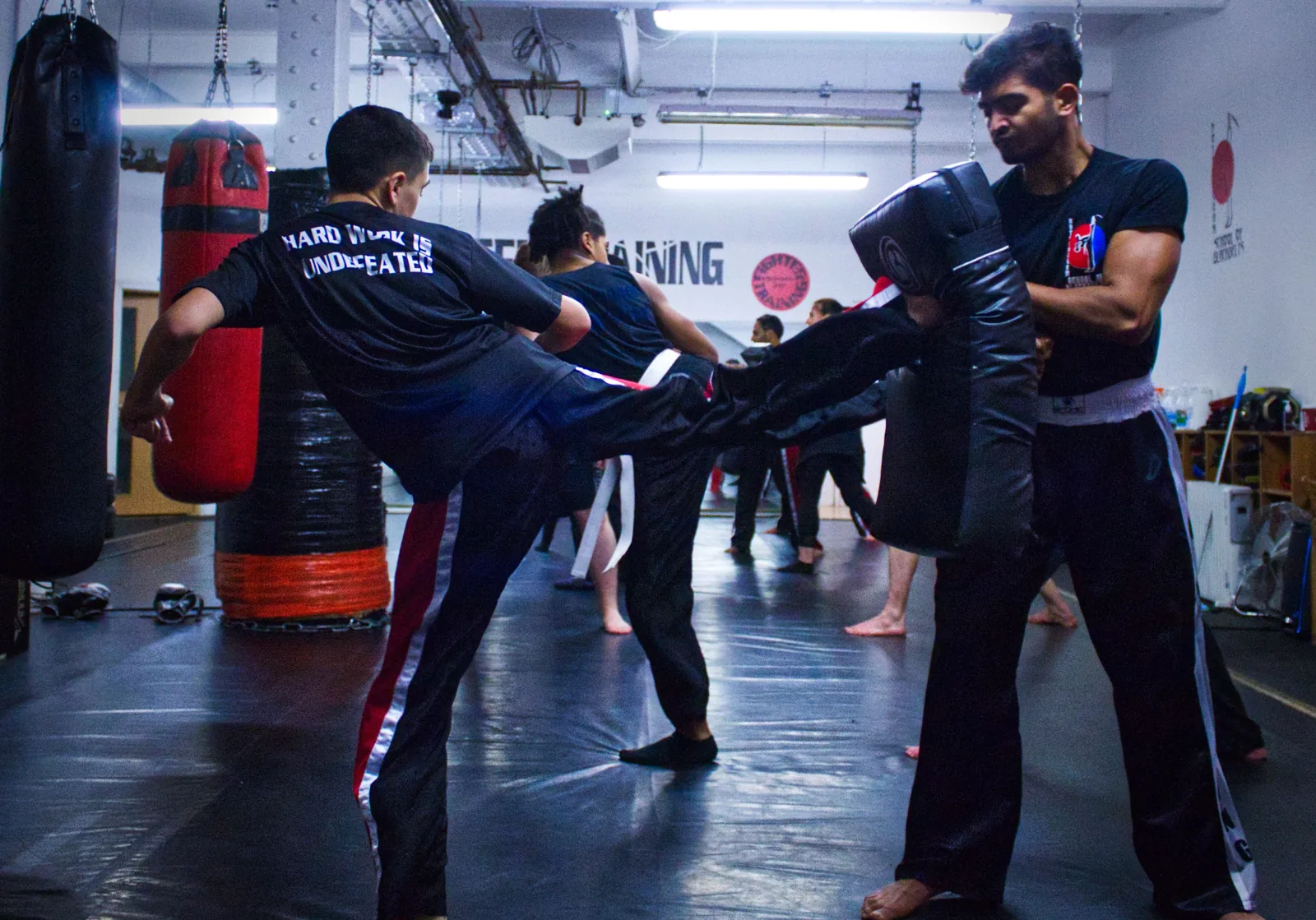 Fighter Training Performance Centre - Image 2