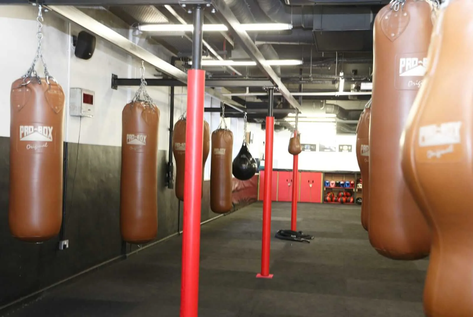 Oxford Martial Arts Academy (OMAA)