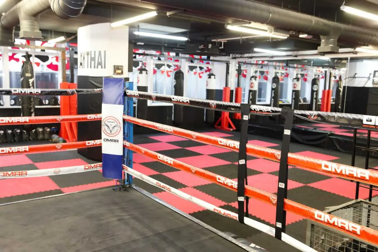 Oxford Martial Arts Academy (OMAA) - Image 2