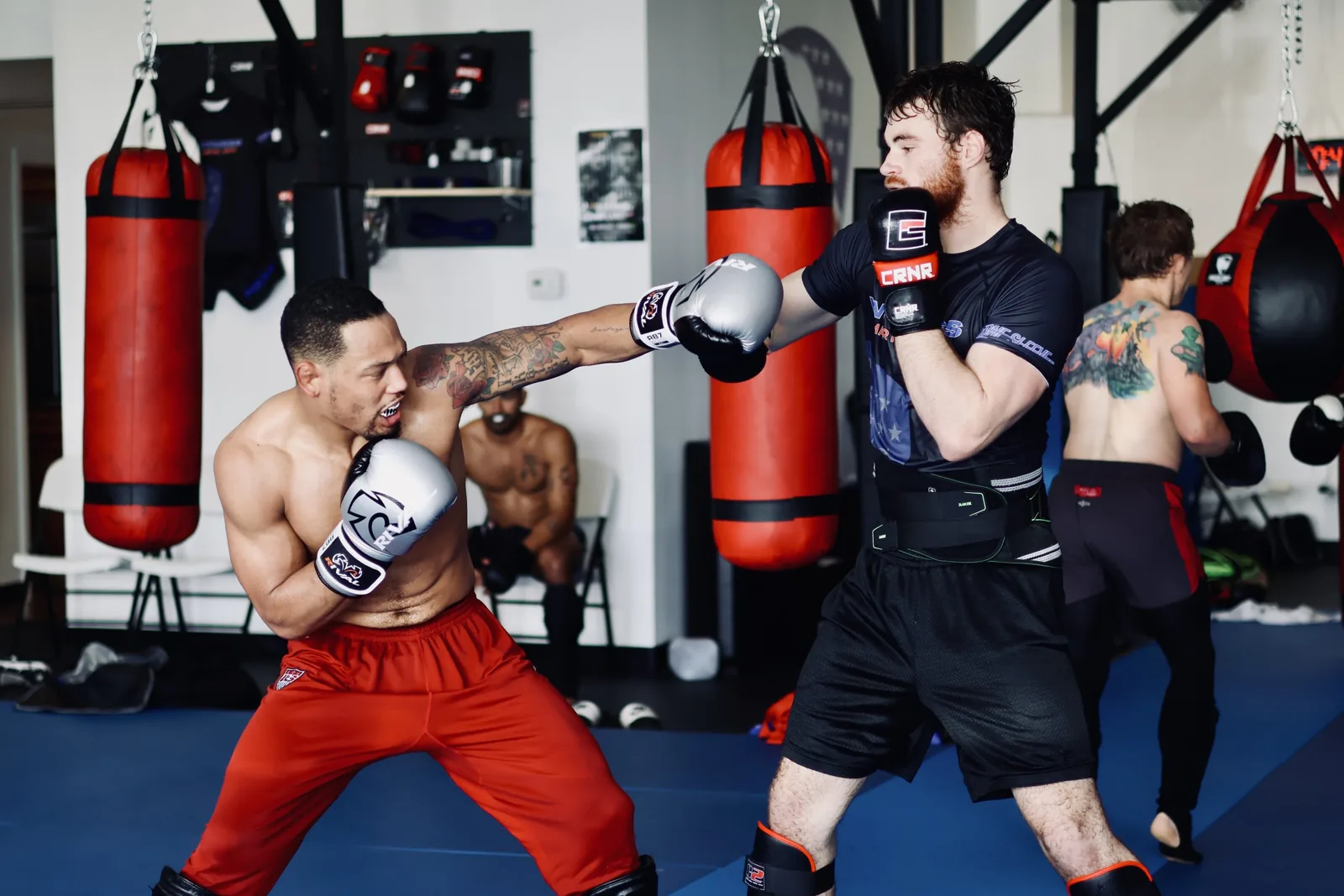 Witness Martial Arts - Image 2