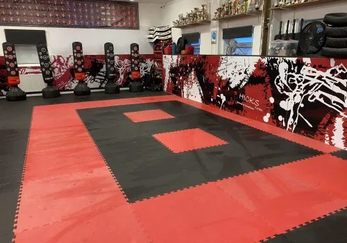 Hicks Family Martial Arts - Image 2
