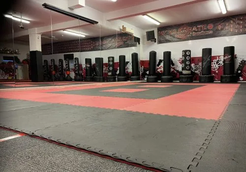 Hicks Family Martial Arts - Image 3
