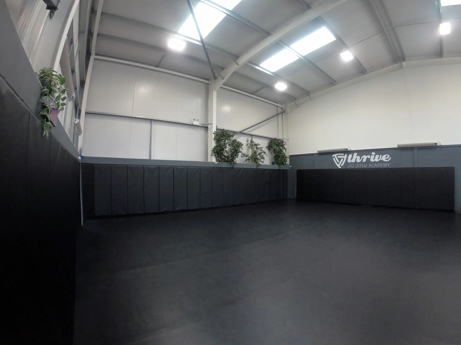 Thrive Jiu Jitsu Academy