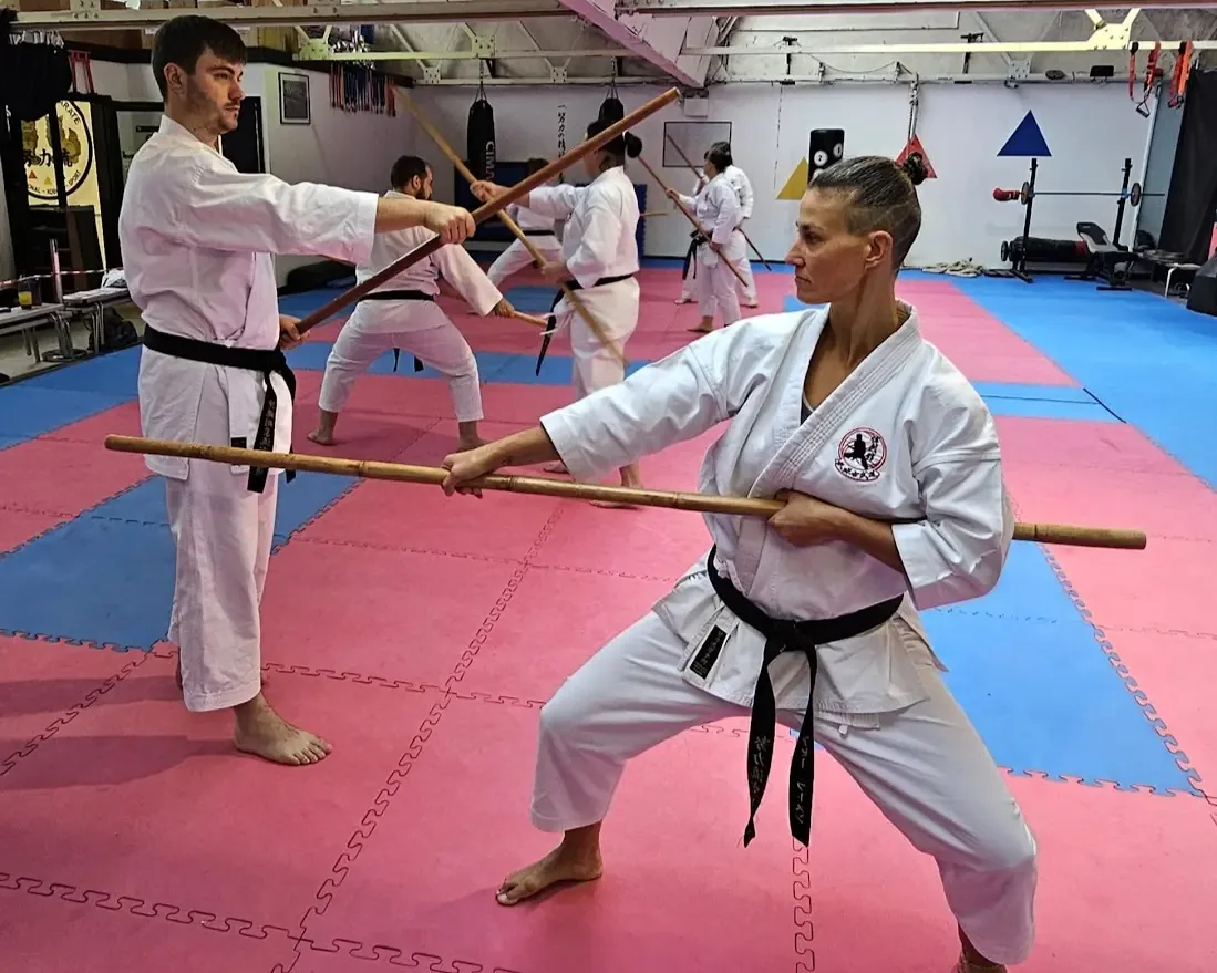 Doryoku Ryu Karate